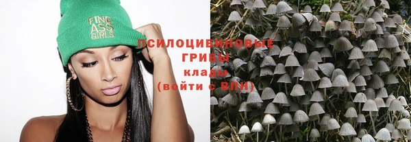 мет Белокуриха
